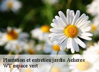 Plantation et entretien jardin  acheres-78260 WT espace vert 