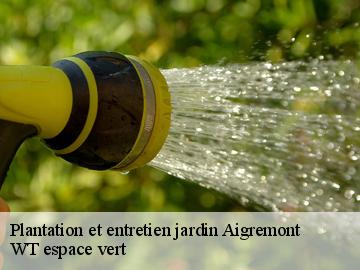 Plantation et entretien jardin  aigremont-78240 WT espace vert 