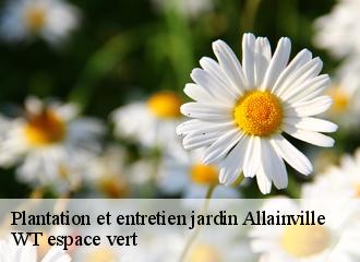 Plantation et entretien jardin  allainville-78660 WT espace vert 