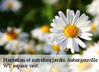 Plantation et entretien jardin  aubergenville-78410 WT espace vert 