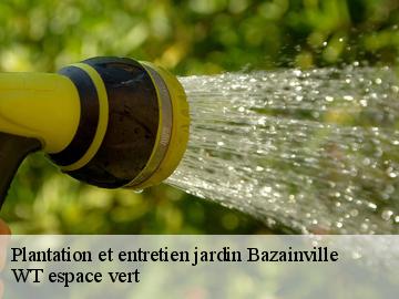 Plantation et entretien jardin  bazainville-78550 WT espace vert 