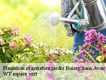 Plantation et entretien jardin  boissy-sans-avoir-78490 WT espace vert 