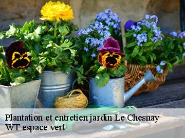 Plantation et entretien jardin  le-chesnay-78150 WT espace vert 