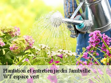 Plantation et entretien jardin  jambville-78440 WT espace vert 