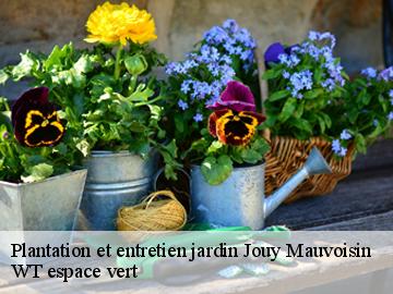 Plantation et entretien jardin  jouy-mauvoisin-78200 WT espace vert 