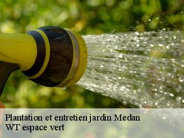 Plantation et entretien jardin  medan-78670 WT espace vert 