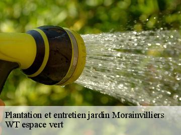 Plantation et entretien jardin  morainvilliers-78630 WT espace vert 