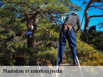 Plantation et entretien jardin  saint-cyr-l-ecole-78210 WT espace vert 