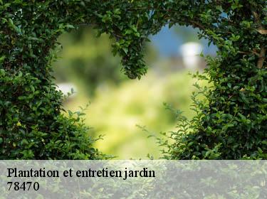Plantation et entretien jardin  saint-lambert-78470 Archange Paysagiste 78