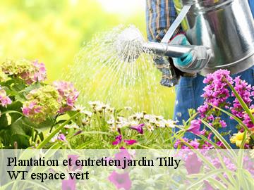 Plantation et entretien jardin  tilly-78790 WT espace vert 