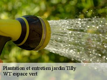 Plantation et entretien jardin  tilly-78790 WT espace vert 