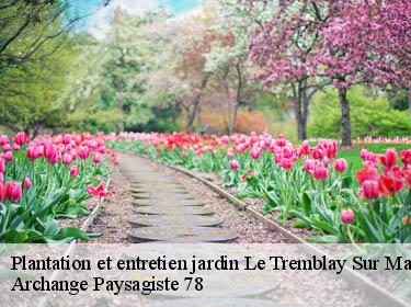 Plantation et entretien jardin  le-tremblay-sur-mauldre-78490 Archange Paysagiste 78