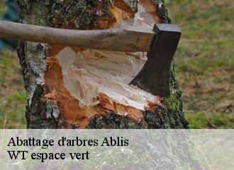 Abattage d'arbres  ablis-78660 WT espace vert 