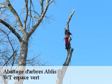 Abattage d'arbres  ablis-78660 WT espace vert 