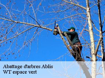 Abattage d'arbres  ablis-78660 WT espace vert 