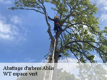 Abattage d'arbres  ablis-78660 WT espace vert 