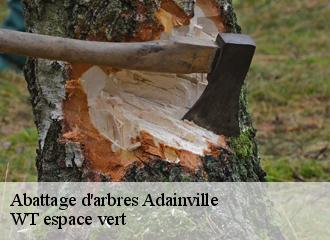 Abattage d'arbres  adainville-78113 WT espace vert 