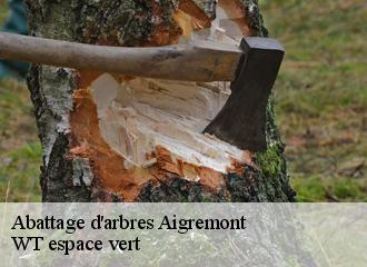 Abattage d'arbres  aigremont-78240 WT espace vert 