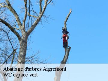 Abattage d'arbres  aigremont-78240 WT espace vert 