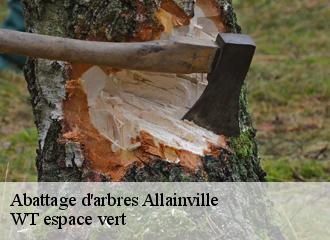 Abattage d'arbres  allainville-78660 WT espace vert 