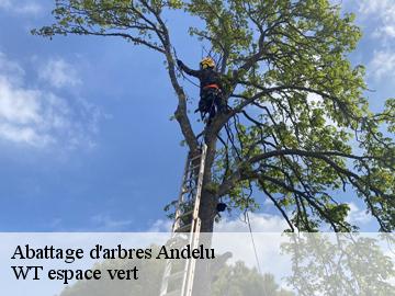 Abattage d'arbres  andelu-78770 WT espace vert 