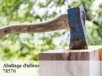 Abattage d'arbres  78570