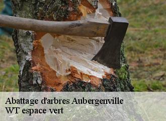 Abattage d'arbres  aubergenville-78410 WT espace vert 