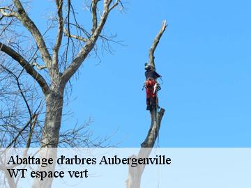 Abattage d'arbres  aubergenville-78410 WT espace vert 