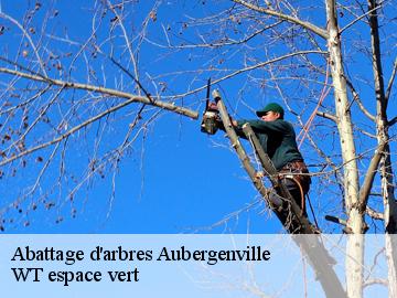 Abattage d'arbres  aubergenville-78410 WT espace vert 