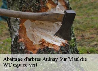 Abattage d'arbres  aulnay-sur-mauldre-78126 WT espace vert 