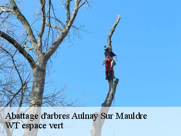 Abattage d'arbres  aulnay-sur-mauldre-78126 WT espace vert 