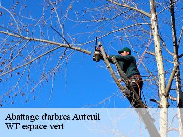 Abattage d'arbres  auteuil-78770 WT espace vert 