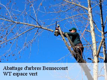 Abattage d'arbres  bennecourt-78270 WT espace vert 