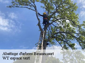 Abattage d'arbres  bennecourt-78270 WT espace vert 