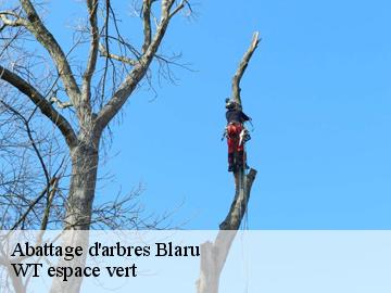 Abattage d'arbres  blaru-78270 WT espace vert 