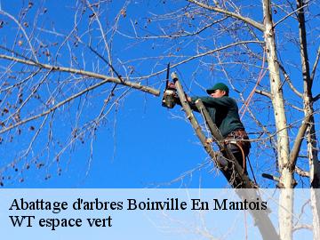 Abattage d'arbres  boinville-en-mantois-78930 WT espace vert 