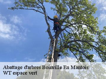 Abattage d'arbres  boinville-en-mantois-78930 WT espace vert 