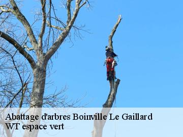 Abattage d'arbres  boinville-le-gaillard-78660 WT espace vert 