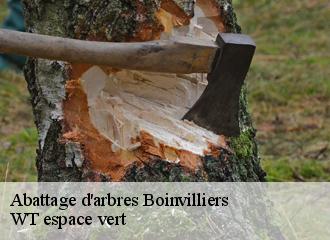 Abattage d'arbres  boinvilliers-78200 WT espace vert 