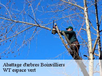 Abattage d'arbres  boinvilliers-78200 WT espace vert 