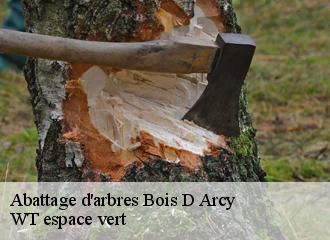 Abattage d'arbres  bois-d-arcy-78390 WT espace vert 