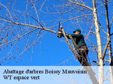 Abattage d'arbres  boissy-mauvoisin-78200 WT espace vert 