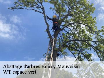 Abattage d'arbres  boissy-mauvoisin-78200 WT espace vert 