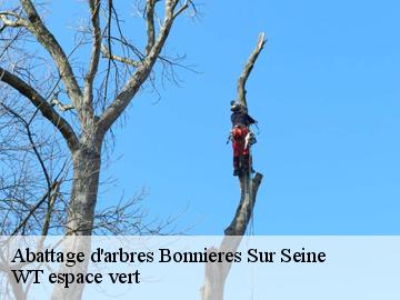 Abattage d'arbres  bonnieres-sur-seine-78270 WT espace vert 