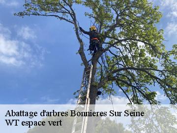 Abattage d'arbres  bonnieres-sur-seine-78270 WT espace vert 