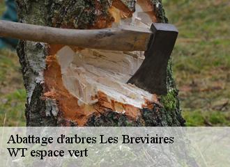 Abattage d'arbres  les-breviaires-78610 WT espace vert 