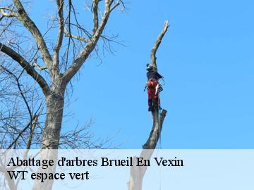 Abattage d'arbres  brueil-en-vexin-78440 WT espace vert 