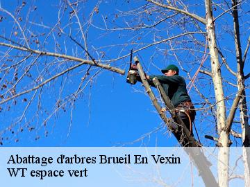 Abattage d'arbres  brueil-en-vexin-78440 WT espace vert 