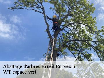 Abattage d'arbres  brueil-en-vexin-78440 WT espace vert 