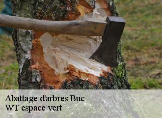 Abattage d'arbres  buc-78530 WT espace vert 